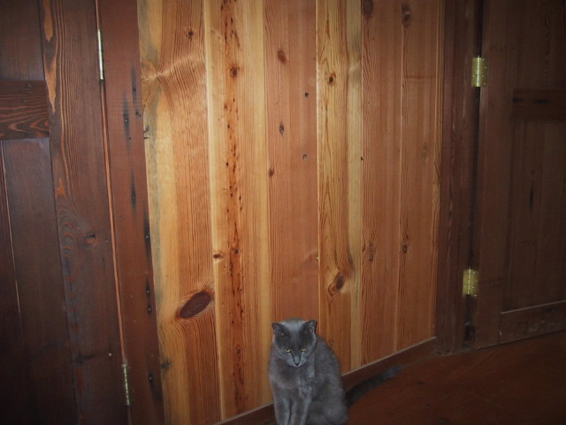 Ponderosa Pine Recycled Lumber Interior Paneling with Jumper