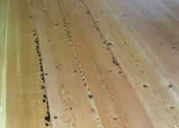 high-grade-wide-plank-nail-marks